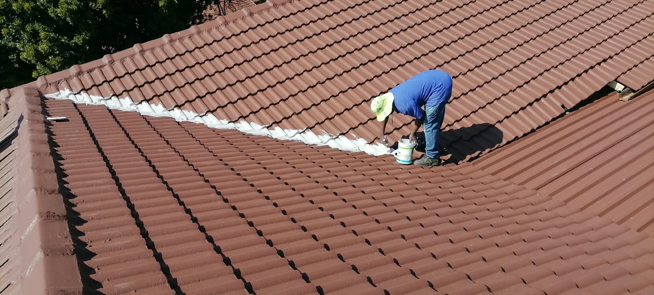 Roof Painting